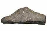Cut & Polished Chondrite Meteorite ( g) Section - Morocco #225328-1
